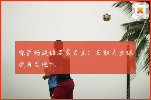 绿茵场边的温柔目光：日职美女球迷看台巡礼